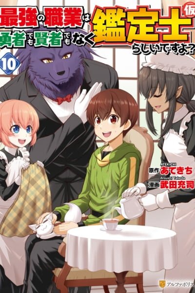 Saikyou no Shokugyou wa Yuusha demo Kenja demo naku Kanteishi rashii desu yo? cover