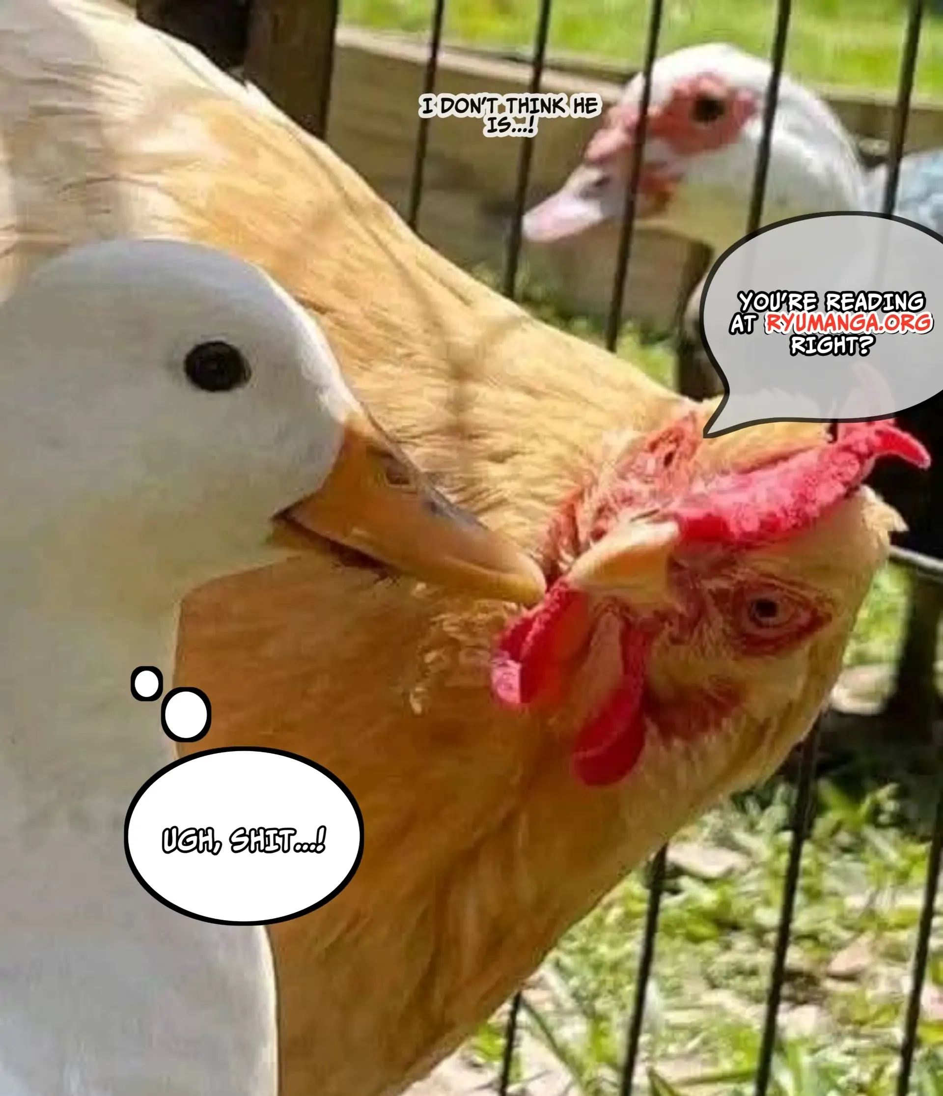 The Mercenary Group's Beloved Child The Orphan on the Brink of Death is Raised by the Mightiest Masters – Chapter 02.2 – Page 15