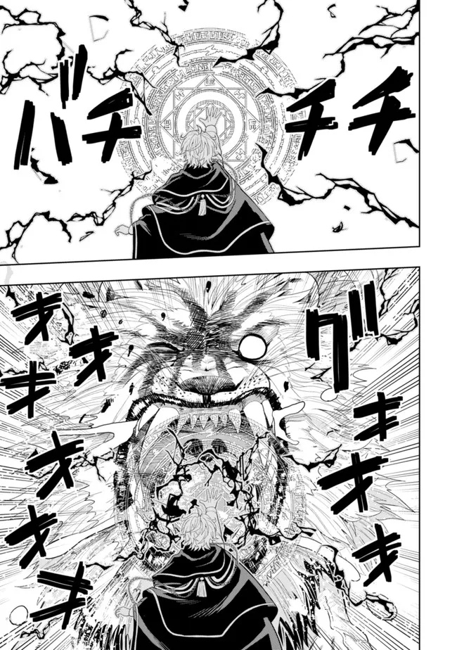 The World's Strongest S-Class Adventurer, Known as the Thunder Emperor, Shows His Power Without Restraint and Becomes a Warrior in the Magic Academy – Chapter 12 – Page 21